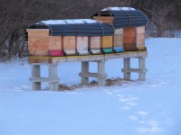 /album/fotogalerie/stand-st-florian-im-winter-jpg/